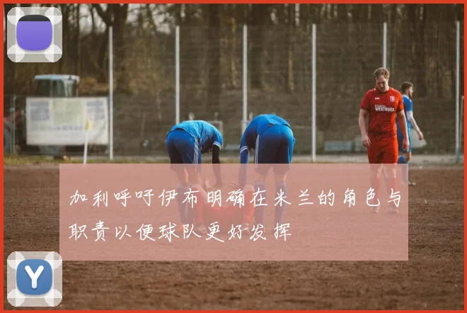 加利呼吁伊布明确在米兰的角色与职责以便球队更好发挥
